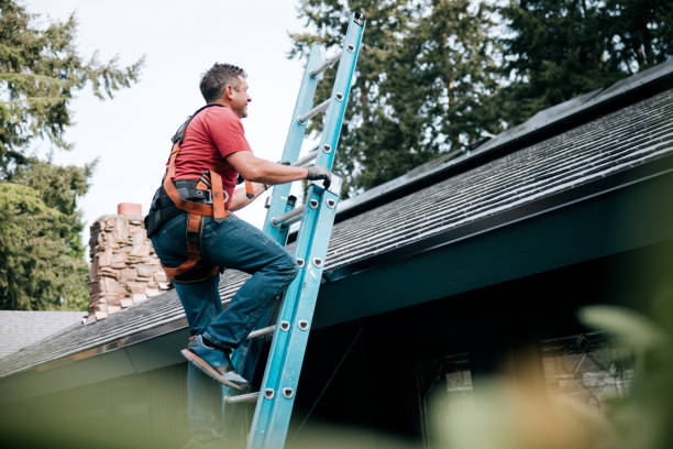 Best Roof Moss and Algae Removal  in Montgomery, TX